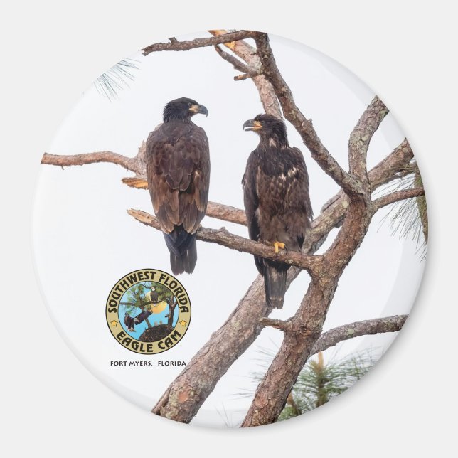 Íman E21 & E22 Best Buds Season 11 (Frente)