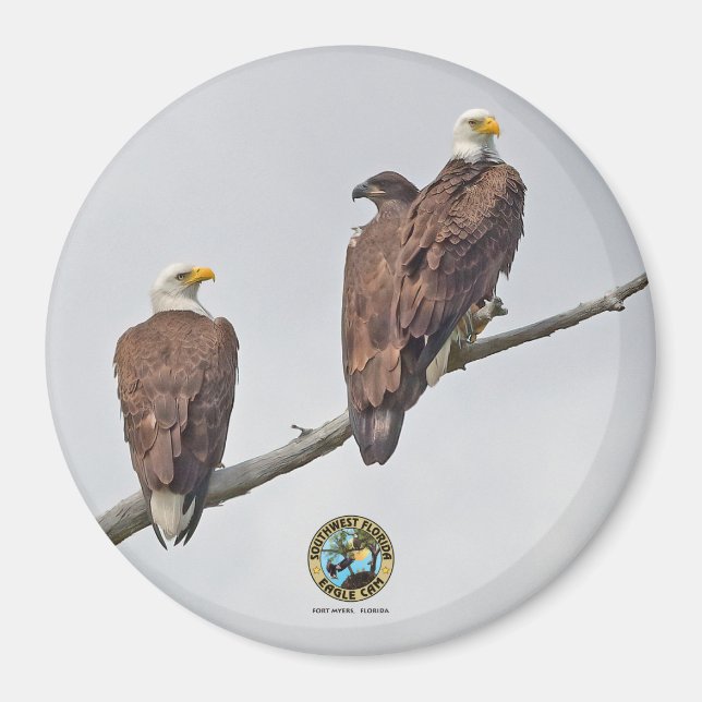 Íman E23 & Family- M15, F23 & First Eaglet (Frente)