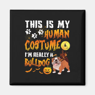 Íman É a minha fantasia humana que eu sou um Bulldog Ha