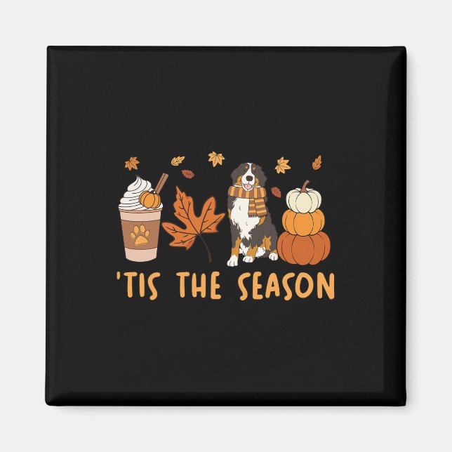 Íman É a Temporada Bernese Mountain Dog Outono Abóbora  (Frente)