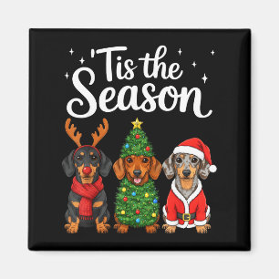 Íman É a Temporada Dachshund Natal Papai Noel Wiener Fa
