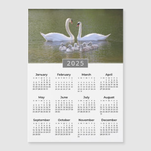Íman e Cygnets 2025 Calendar