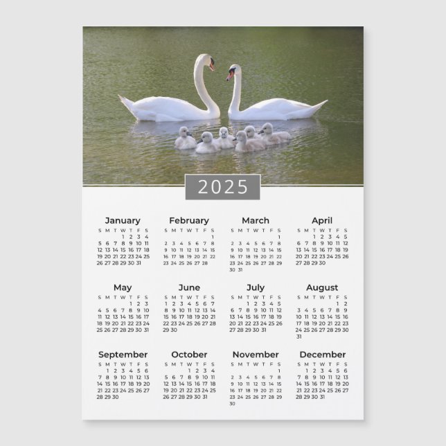 Íman e Cygnets 2025 Calendar (Frente)