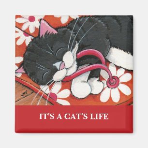 Íman É ímã da arte do gato da vida Personalizable
