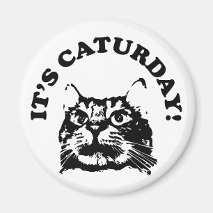 Íman É ímã de Caturday