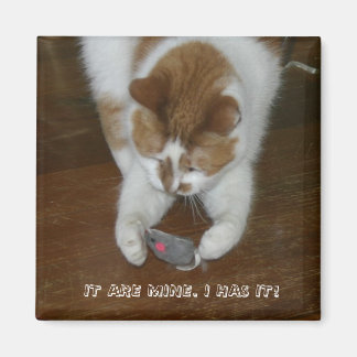 ÍMAN É MEU. EU TENHO!