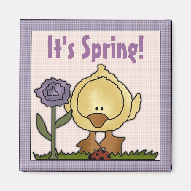 Íman É Primavera Pintinho Magnet (Frente)