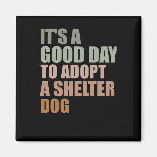 Íman É Um Bom Dia Para Adotar Cachorro De Emergência