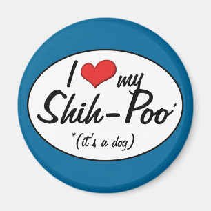Íman É um cão! Eu amo meu Shih-Poo