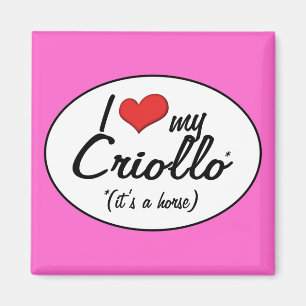 Íman É um cavalo! Eu amo meu Criollo