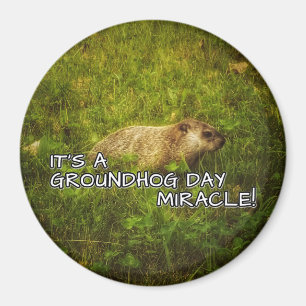 Íman É um ímã do milagre do dia de groundhog