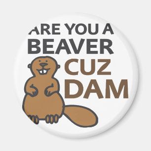 Íman É você uma represa de Cuz do castor