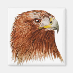 Íman Eagle dourado 2011