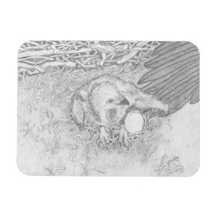 Íman Eagle E14 no Wing Magnet de Ozzie