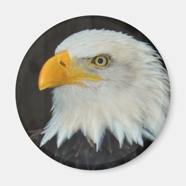 Íman Eagle Head Magnet (Frente)