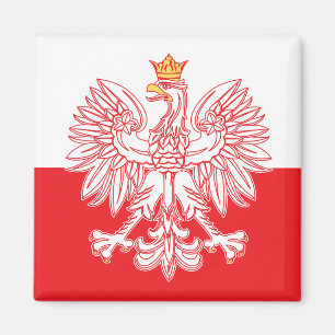 Íman Eagle polonês esboçado no vermelho