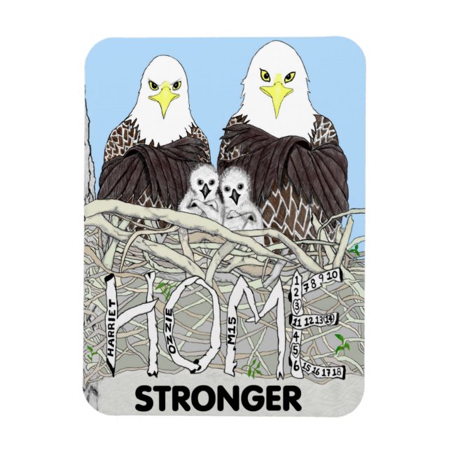 ÍMAN  EAGLES HARRIET, M15, E17 + E18 LIVRO- HOME STRONGE (Vertical)