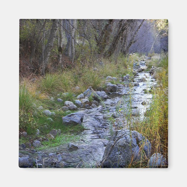 Íman East Fork/Hayfork Creek...... (Frente)