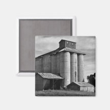 Echoes of the Harvest