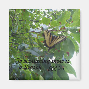 Íman Eclesiastas 3:1 Para tudo que há uma estação