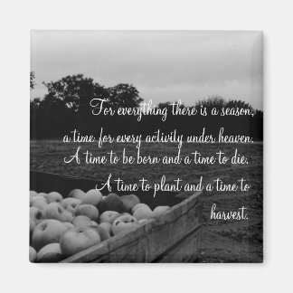 Íman Eclesíastos 3:2