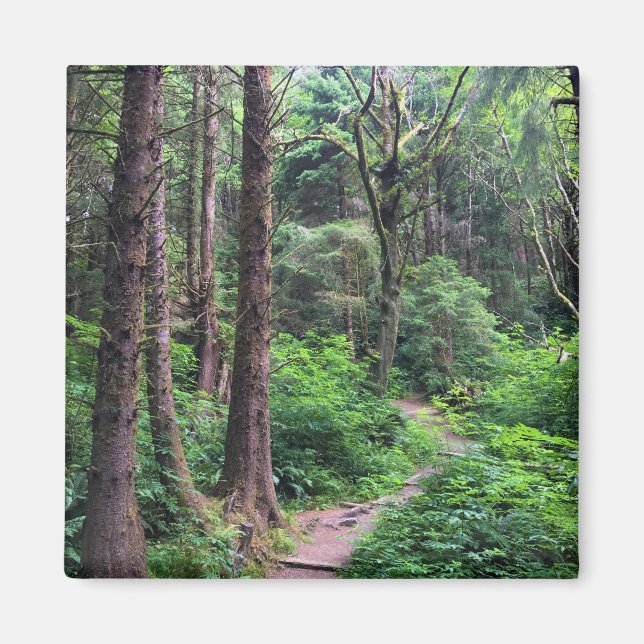 Íman Eco-a State Park, Cannon Beach, Oregon (Frente)