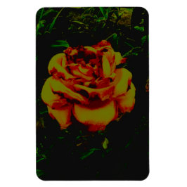 Íman Ecografia flexível do ouro de ímã fotográfico