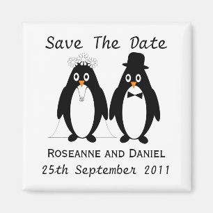Íman Economias do pinguim o anúncio do casamento da