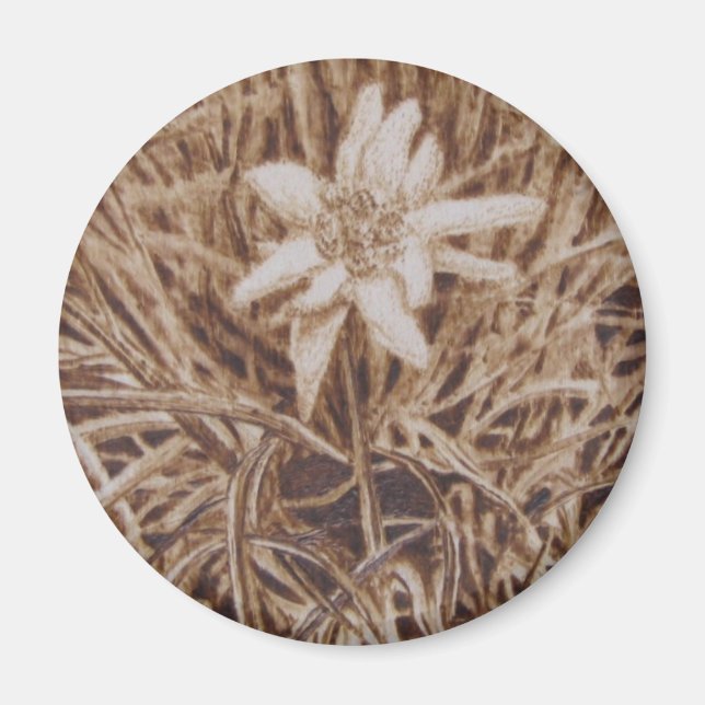 Íman Edelweiss - Stella alpina (Frente)