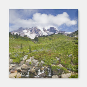 Íman Edith Creek e prados de flores silvestres no Para