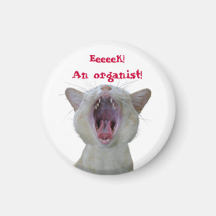 Íman Eeek! Um organista!