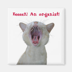 Íman Eeek! Um organista!