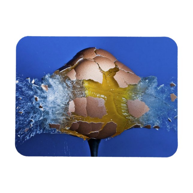 Íman Eggception (Horizontal)