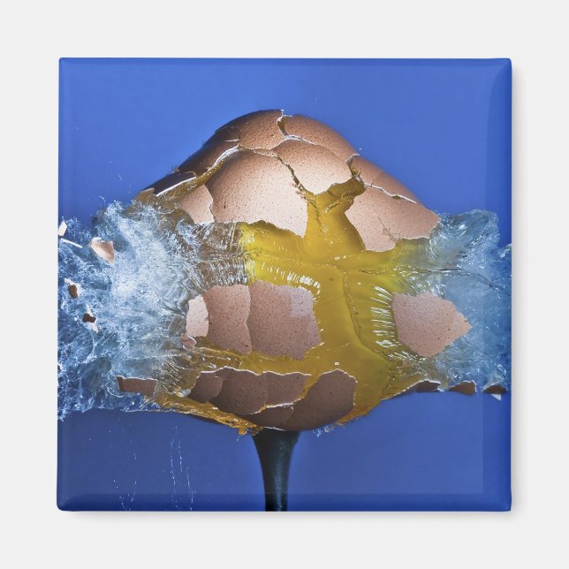 Íman Eggception (Frente)