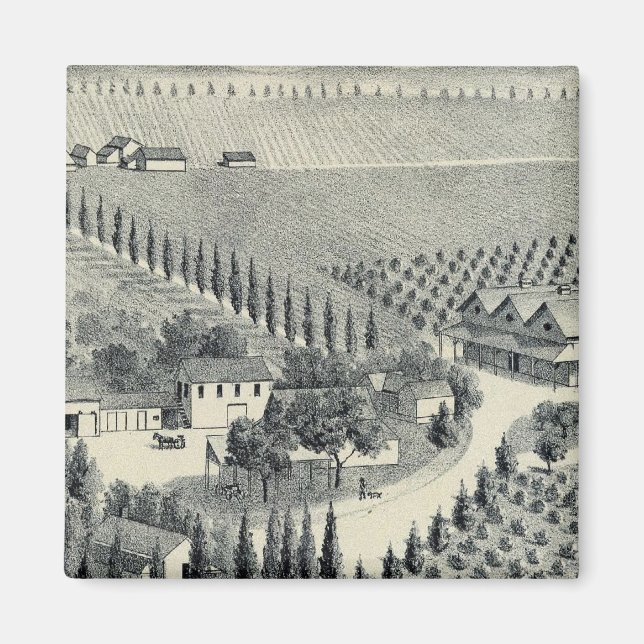 Íman Eggers Vineyard, Fresno (Frente)