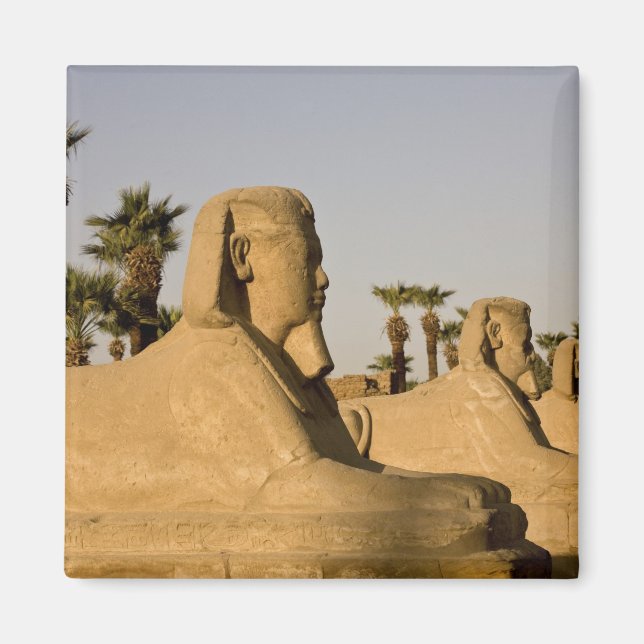 Íman Egito, Luxor. A Avenida das Esfinges leva a (Frente)