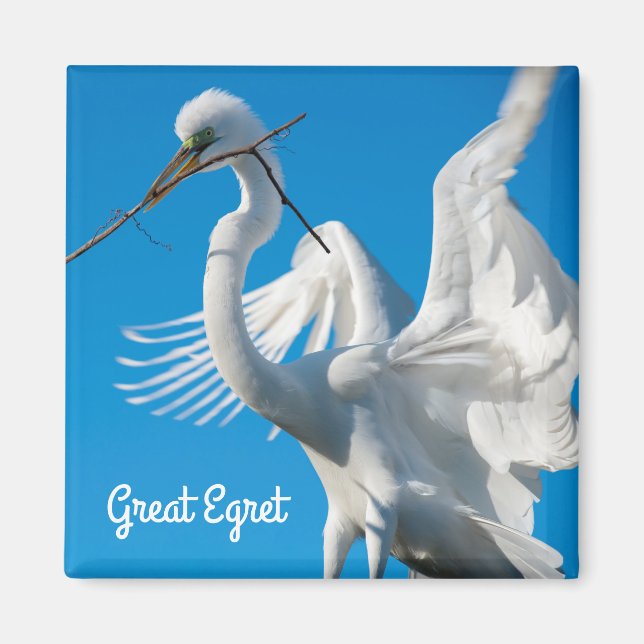 Íman Egret do excelente (Frente)