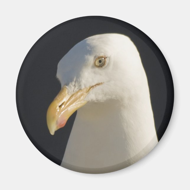 Íman Ei Big Fella Magnet (Frente)