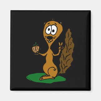 Íman eichhörnchen comic