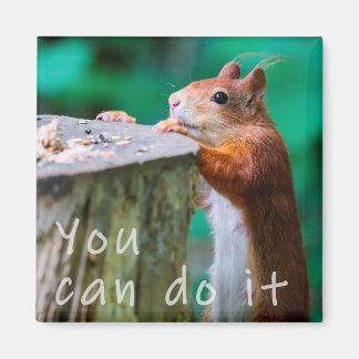 Íman Eichhörnchen Motivationspruch