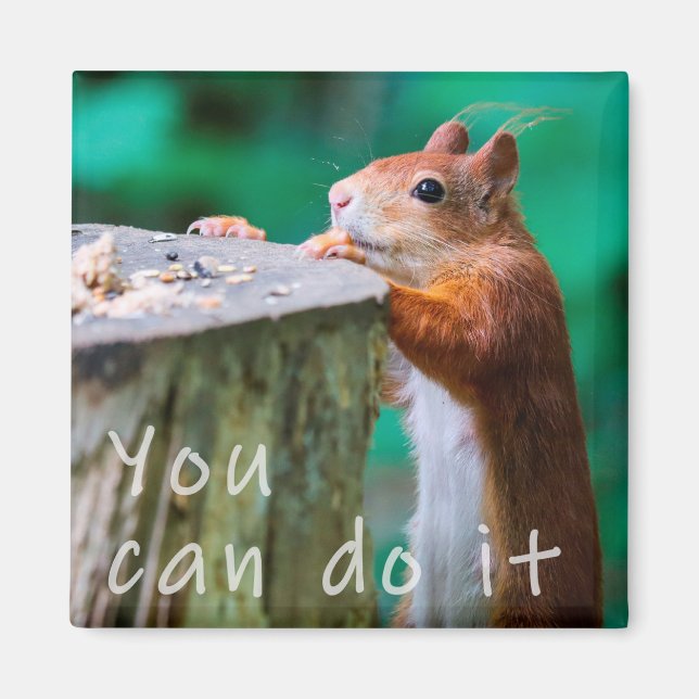 Íman Eichhörnchen Motivationspruch (Frente)