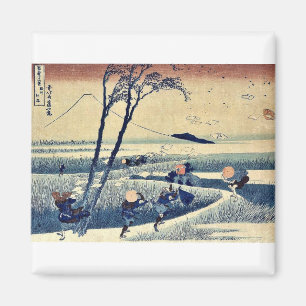 Íman Ejiri de Sunshu por Katsushika, Hokusai Ukiyoe.