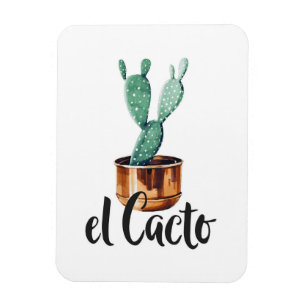 Íman El Cactus