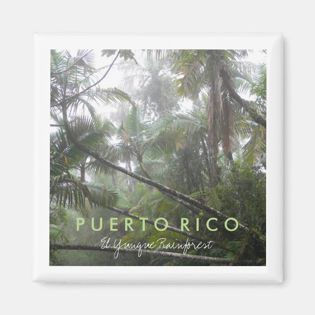 Íman El Yunque, Porto Rico (Frente)