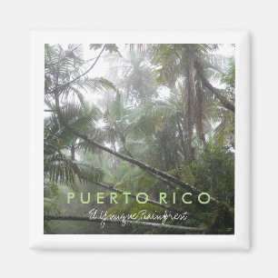 Íman EL Yunque, Puerto Rico