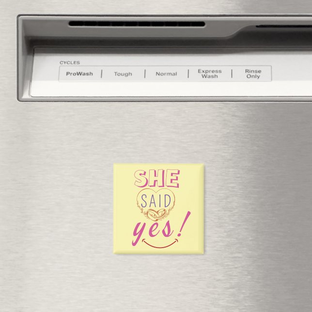 Íman Ela disse sim (In Situ (Dishwasher))