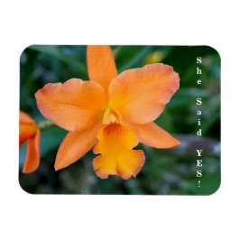 Íman Ela Disse Sim Noivado Magnet