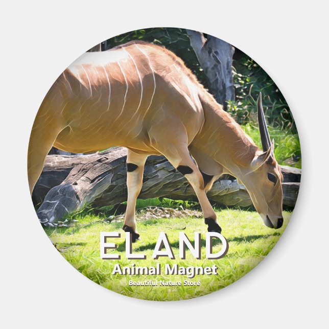 Íman Eland (Frente)