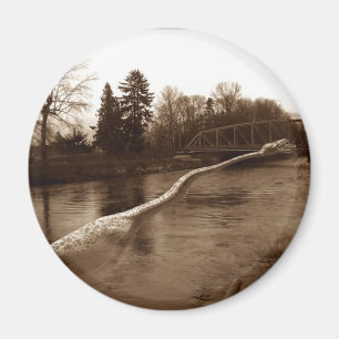 Íman Elasmosaurus Gifts