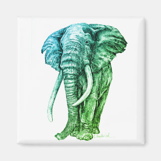 Íman Elefante